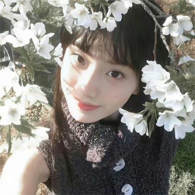 群山:咏鹅
